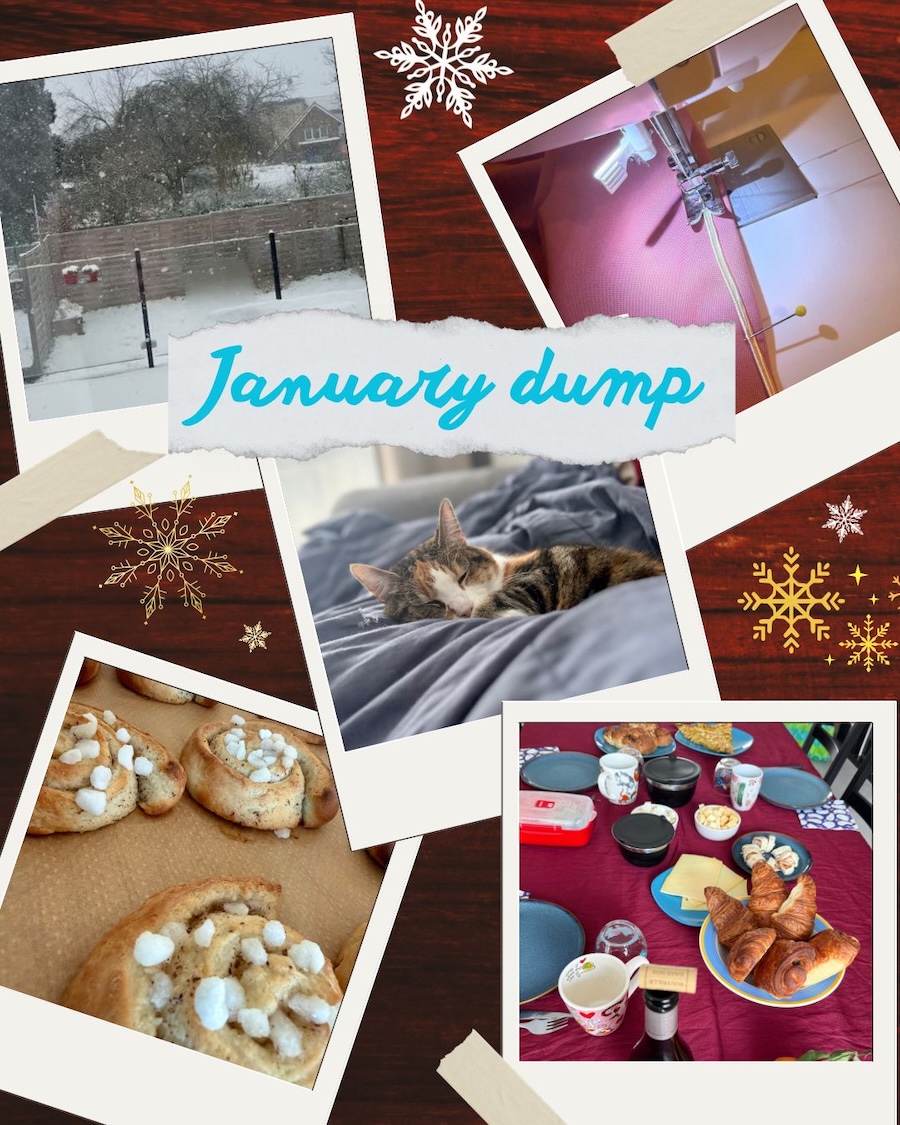 Assemblage de photos avec écrit "January dump". Un jardin sous la neige, 1 couture en cours, 1 chat qui dort sur une couette, des roulés à la cannelle maison et 1 table de brunch chargée