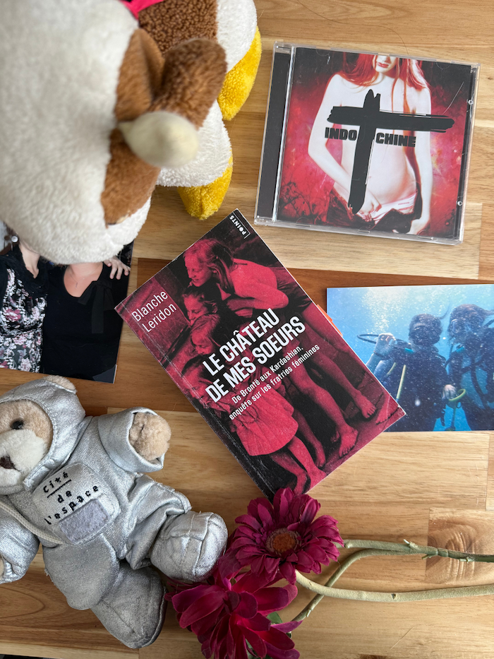 Livre Le château de mes soeurs avec des souvenirs liés à ma propre soeur (peluches, photos, CD d’Indochine)