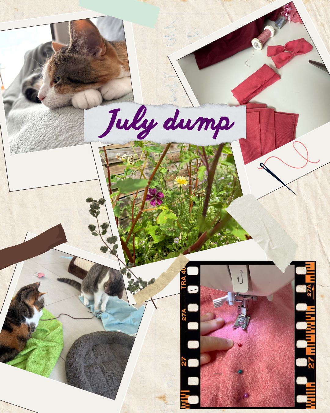 Dump de photos de juillet avec une photo de mon chat tricolore Touille posée sur un plaid sur moi, une photo de mes deux chats qui jouent ensemble, une photo des fleurs sauvages de mon jardin, une photo de couture en cours avec des noeuds roses et une image de machine à coudre en train de coudre du tissu. 