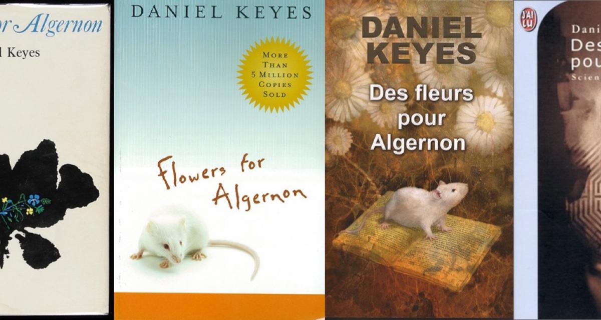 Des Fleurs Pour Algernon Contrôle De Lecture