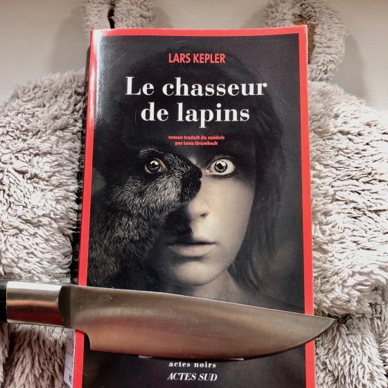 Le chasseur de lapins Joona Linaa 6 Les critiques de Yuyine