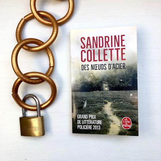 Des noeuds d'acier - Collette Sandrine - 9782253176015, Catalogue